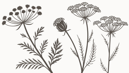 Vintage Wildflower Botanical Sketches – Hand-Drawn Floral Silhouettes