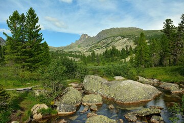 Stone boulders in the bed of a small river flowing down from the mountains through a dense...