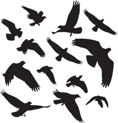 Obraz premium Abstract Black Bird Silhouettes in Various Flying Poses Vector