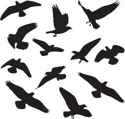 Abstract Black Bird Silhouettes in Various Flying Poses Vector