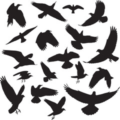 Obraz premium Abstract Black Bird Silhouettes in Various Flying Poses Vector