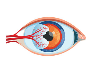 Human Eye Cataract Medical Condition Illustration