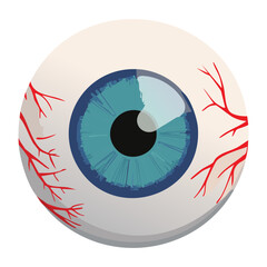 Realistic Human Eyeball Detailed Blue Iris