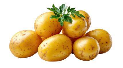 Golden Potato Harvest: A close-up shot unveils a fresh, bountiful gathering of vibrant potatoes, enhanced by a delicate touch of leafy greenery, symbolizing nature's delicious offering.