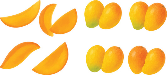 Hand-Painted Watercolor Mango Fruit Collection Whole and Sliced Tropical Fruit Isolated on Transparent Background for Packaging, Labeling, and Culinary Design | Generative AI