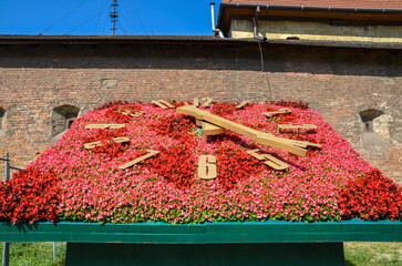 Decorative floral clock arrangement made of vibrant red blossoms with traditional clock elements,...