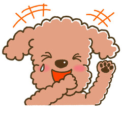 爆笑する表情のトイプードルのイラスト
