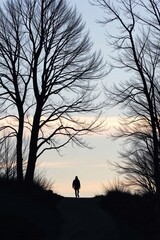 A solitary figure walks along a path at dusk, framed by leafless trees against a soft pastel sky.