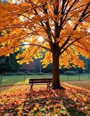 A park bench sits under a large tree with bright orange autumn leaves, surrounded by fallen foliage and sunlight filtering through the branches.