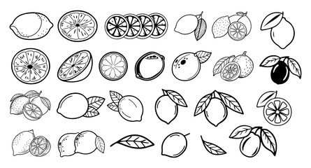 Collection of hand drawn black and white line art illustrations featuring various lemons and citrus fruits in different styles and arrangements on a white background