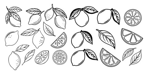 A collection of hand drawn black and white illustrations featuring whole lemons lemon slices and lemon leaves perfect for design elements and decorative patterns