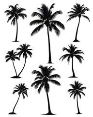 Collection of eight black palm tree silhouettes on white background tropical