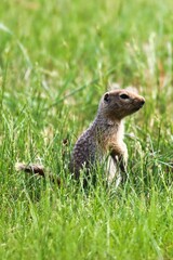 Yukon Territories, Canada