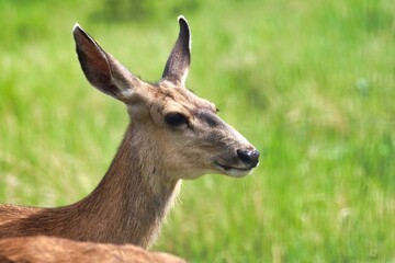 Yukon Territories, Canada