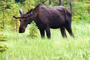 Yukon Territories, Canada