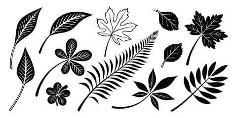 Outlined and Filled Botanical Leaf Icon Collection