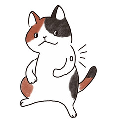 CGMで血糖値を測る三毛猫