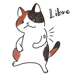 リブレで血糖値を測る三毛猫