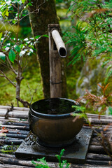 Serene Japanese Garden Scene: Traditional Tsukubai (Stone Wash Basin) in Japanese Garden