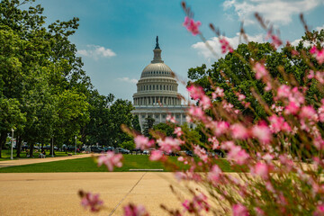 Historic Capitol by the national flag. Capitol building. USA symbol. U.S. Senate. American capital city. Washington DC. Capitol dome as a symbol of law. Capitol on a sunny day.