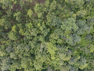 Naklejka premium Top View Aerial Photograph