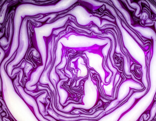 Obraz premium Macro close-up of a sliced fresh Red Cabbage, viewed from above. Bright juicy texture with high contrast, vivid colors and organic patterns.