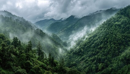 Misty mountain valley, lush green foliage blankets steep slopes, clouds cling to hillsides