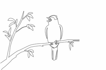 Continuous one line drawing blackcap bird perched on tree branch with leaves. Cold weather resistant birds. The songbird. International Dawn Chorus Day. Single line draw design vector illustration