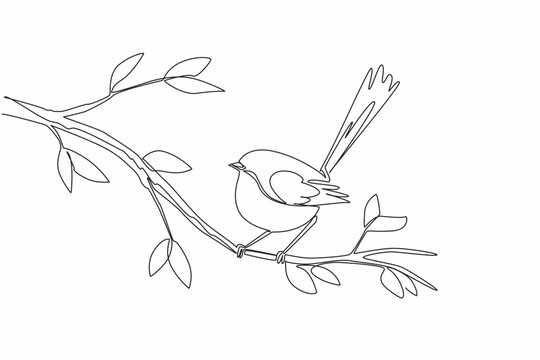 Continuous one line drawing fairy wren perched on a tree branch with leaves. Singing with secret password for future child. International Dawn Chorus Day. Single line draw design vector illustration
