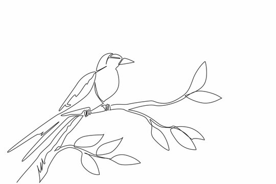 Single continuous line drawing lilac breasted roller perched on a branch with leaves. Beautiful bird with special adaptation style. International Dawn Chorus Day. One line design vector illustration