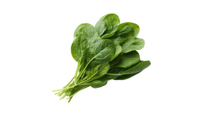Fresh bunch of spinach leaves isolated on transparent background