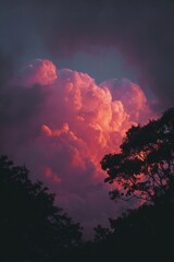 Fototapeta premium Dramatic sunset clouds illuminated by vibrant hues over a dense forest in the late evening sky