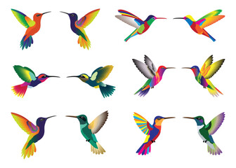 Set of colorful hummingbirds, cute, multi-colored, modern. Separate background. Vector illustration.
