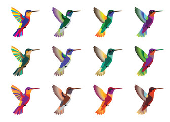 Set of colorful hummingbirds. Multicolored for design. Isolated background. Vector illustration.