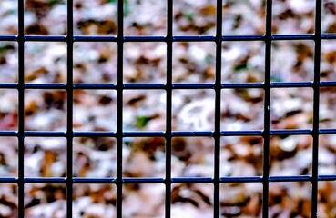 Close up of grid of metal fence wires in front of fallen autumn leaves. Selective focus on the...