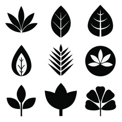 Fototapeta premium set of vector leaves black silhouette icon