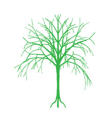 Green tree illustration with bare branches and visible roots on a white background.