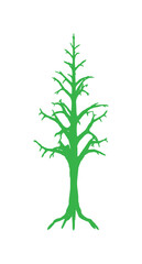 A simple green illustration of a bare tree with visible branches and roots, isolated on white.