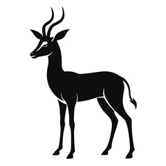 Antelope on white background