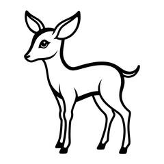 Antelope on white background