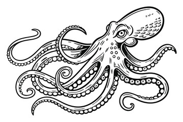 Vintage Octopus Etching – Scratchboard Marine Life Illustration