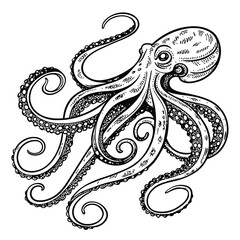 Black and White Octopus Sketch – Marine Life Engraving Illustration