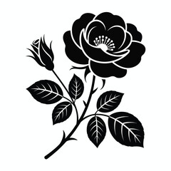 Elegant Black Rose with Bud and Leaves Silhouette on White Background