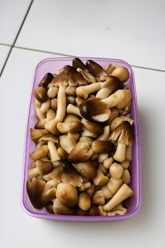 mushroom palm or jamur sawit in indonesian word