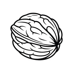 Black and white illustration of a whole walnut in its shell