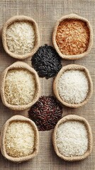 A Harvest of Hues
