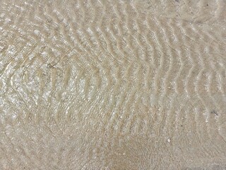 Sea, sandy beach, nature