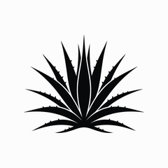 Black and White Silhouette of Agave Plant