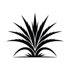 Black Silhouette of an Agave Plant on a White Background