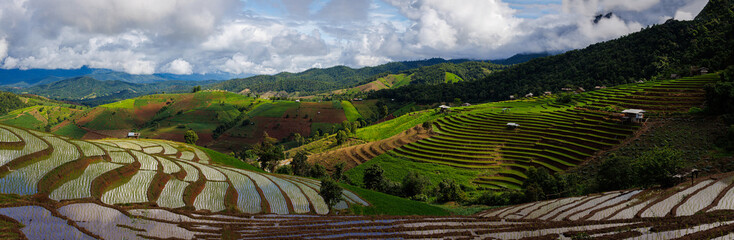 landscape of Rice terrace at Ban pa bong piang in Chiang mai Thailand